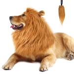 Lion Mane Costume for Medium to Large Dogs
