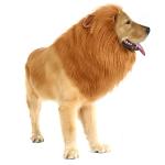Lion Mane Costume for Medium to Large Dogs