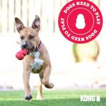 KONG Classic Stuffable Dog Toy for Medium Dogs