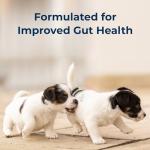 Goat's Milk Puppy Formula - 11 oz Ready-to-Feed