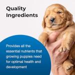 Goat's Milk Puppy Formula - 11 oz Ready-to-Feed