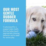 KONG Puppy Chew Toy - Blue Natural Rubber