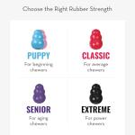 KONG Puppy Chew Toy - Blue Natural Rubber