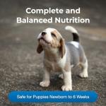 PetLac Puppy Milk Replacement Powder - 10.5 oz