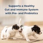 Goat’s Milk Puppy Formula Powder with Probiotics