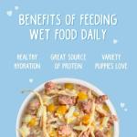 Weruva Puppy Chicken and Rice Gravy 6oz Cans