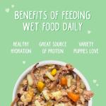 Weruva Beef and Rice Puppy Food, 8-Pack Cans