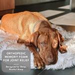 IHAPPYDOG Orthopedic Memory Foam Dog Bed, Waterproof