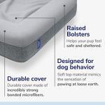 Casper Medium Plush Memory Foam Dog Bed