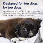 Casper Medium Plush Memory Foam Dog Bed