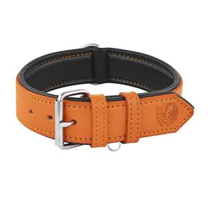 Riparo Padded Orange Leather Dog Collar 1.5" Wide