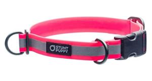 Pink Stunt Puppy Go Dog Glo Collar