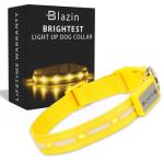 LED Light Up Dog Collar - USB Rechargeable & Waterproof
