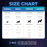 LED Light Up Dog Collar - USB Rechargeable & Waterproof