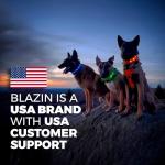 LED Light Up Dog Collar - USB Rechargeable & Waterproof