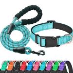 Ladoogo Adjustable Reflective Dog Collar and Leash