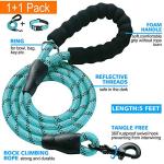 Ladoogo Adjustable Reflective Dog Collar and Leash