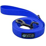 Max and Neo Blue Waterproof Dog Leash 6 FT