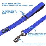 Max and Neo Reflective Double Handle Traffic Leash