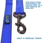 Max and Neo Reflective Double Handle Traffic Leash