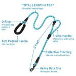 Plutus 6ft Reflective Rope Dog Leash with Handles