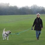 Plutus 6ft Reflective Rope Dog Leash with Handles
