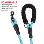 Plutus 6ft Reflective Rope Dog Leash with Handles