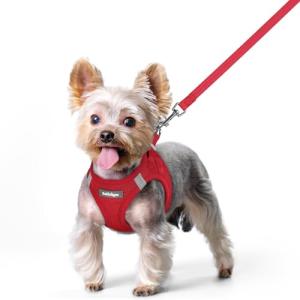 rabbitgoo Small Dog Harness and Leash Set