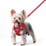 rabbitgoo Small Dog Harness and Leash Set
