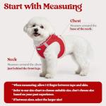 rabbitgoo Small Dog Harness and Leash Set