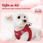 rabbitgoo Small Dog Harness and Leash Set