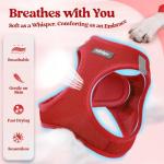 rabbitgoo Small Dog Harness and Leash Set