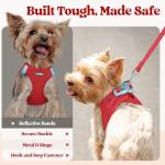 rabbitgoo Small Dog Harness and Leash Set