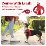rabbitgoo Small Dog Harness and Leash Set