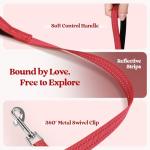 rabbitgoo Small Dog Harness and Leash Set