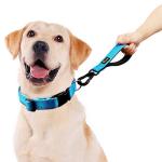 Reflective Nylon Short Dog Leash with Padded Handle