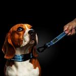 Reflective Nylon Short Dog Leash with Padded Handle