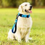 Reflective Nylon Short Dog Leash with Padded Handle