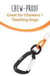 Mighty Paw Chew-Proof Dog Leash - 6ft Orange