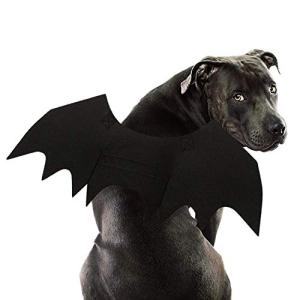 Rypet Bat Costume for Dogs - Halloween Party Fun