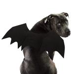 Rypet Bat Costume for Dogs - Halloween Party Fun