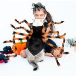 Furry LED Spider Costume for Dogs and Cats