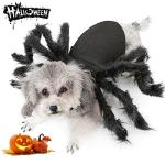 Spider Costume for Small Dogs and Cats