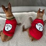 SUEOSU Pop Culture Dog Shirts in Red
