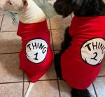 SUEOSU Pop Culture Dog Shirts in Red