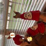 SUEOSU Pop Culture Dog Shirts in Red