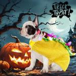 Funny Taco Costume for Small and Medium Dogs