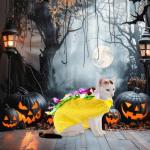 Funny Taco Costume for Small and Medium Dogs