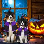 GOYOSWA Dog Halloween Witch Costume with Cape