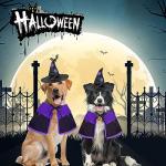 GOYOSWA Dog Halloween Witch Costume with Cape